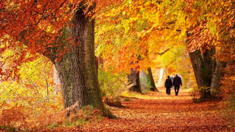 علت اصلی نباریدن باران در ایران اعلام شد؛ این پدیده‌ سمج آسمان ایران را ترک نمی‌کند! 