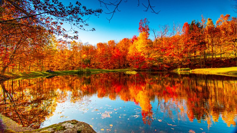 خبری خوش/ بارش‌های فراوان پاییزی از این تاریخ شروع می‌شود