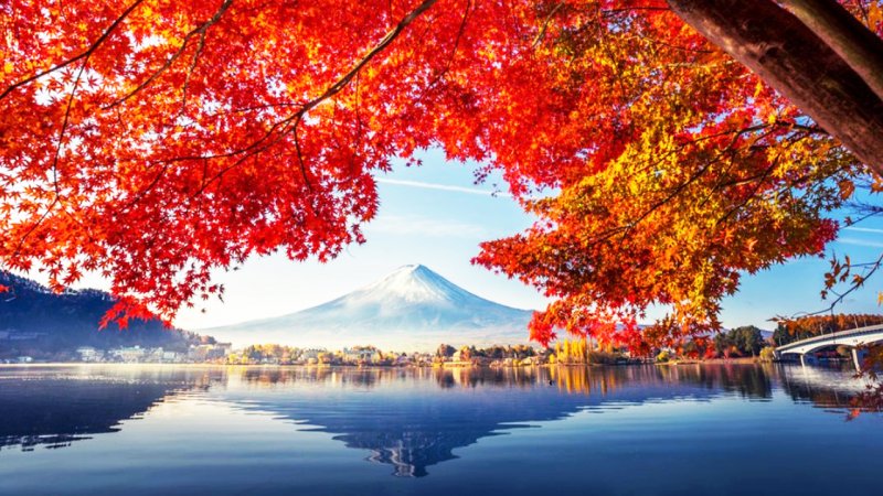 هشدار هواشناسی برای آخر هفته/ این استان ها از شنبه منتظر باران شدید باشند