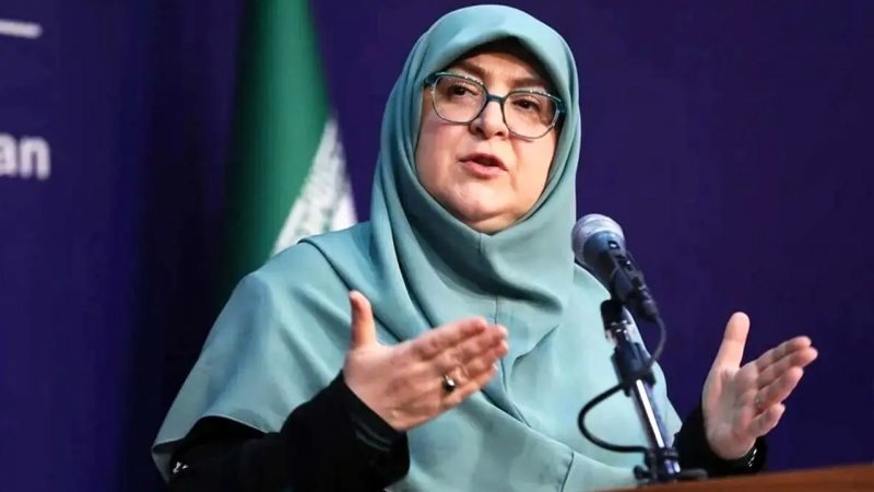 توضیحات مهاجرانی درباره برنامه‌های بنزینی دولت