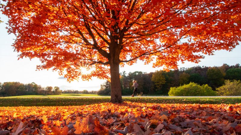 این 11 استان از فردا منتظر باران شدید پاییزی باشند