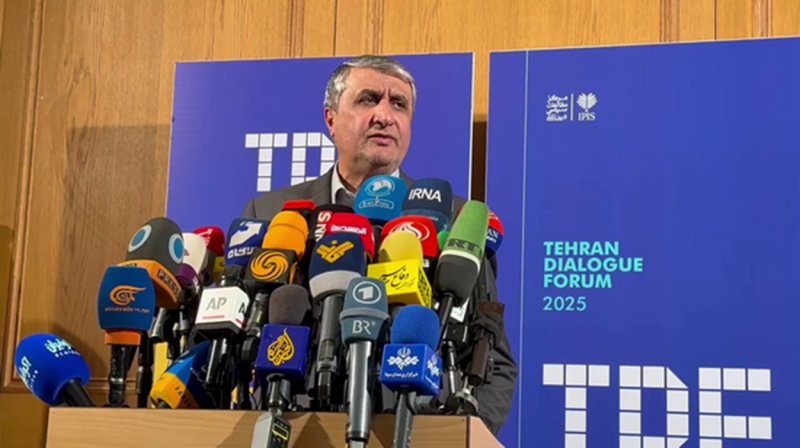 واکنش رئیس سازمان انرژی اتمی به قطعنامه شورای حکام