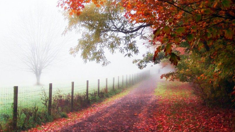 پیش بینی وضعیت هوا تا پایان هفته/ این استان ها بارانی می شوند