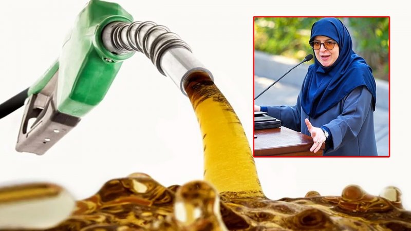 قیمت و سهمیه بنزین تعیین تکلیف شد/ سخنگوی دولت حرف آخر را زد