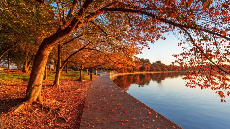 تا این تاریخ خبری از باران پاییزی نیست