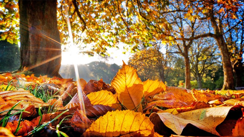 حتی یک قطره باران هم در هیچ نقطه ایران نمی‌بارد