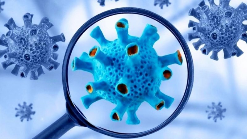 فوری/ اعلام آماده‌باش به دلیل شیوع ویروس جدید