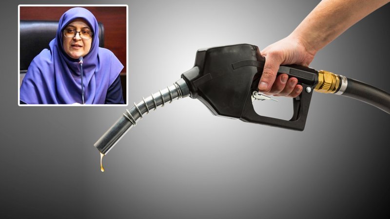 خبر مهم سخنگوی دولت درباره میزان و نرخ بنزین سهمیه ای + فیلم