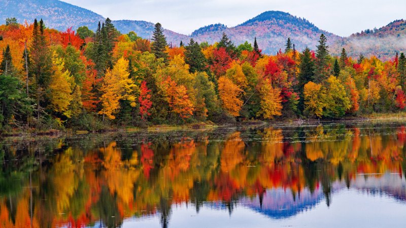 آغاز بارش باران از روز چهارشنبه در  این استان ها+ نقشه