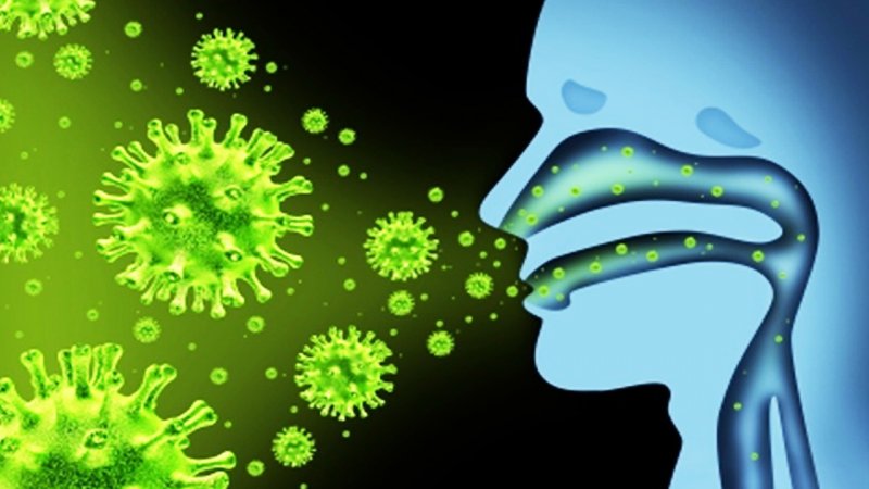 هشدار جدی به همه مردم ایران / ویروس جدید شیوع پیدا کرد