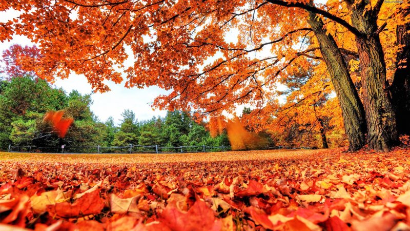 هشدار هواشناسی درباره ورود موج پیاپی سامانه‌ها؛ آغاز بارش‌ها از امشب