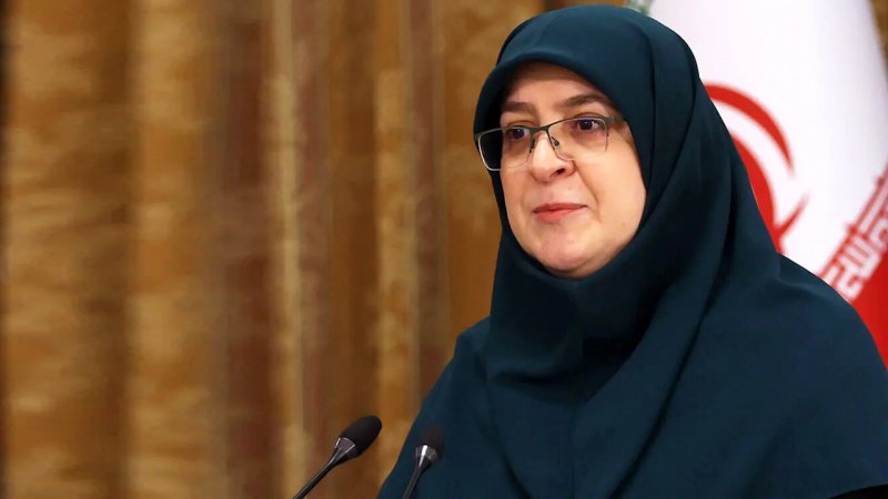 خانم سخنگو! میشه پسر و عروس تون برای من هم فیلترشکن نصب کنن؟/کاریکاتور