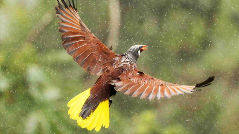 ۱۰ روز پر از برف و باران در پیش است/ از بارش‌های گسترده پاییزی در کشور لذت ببرید+ نقشه