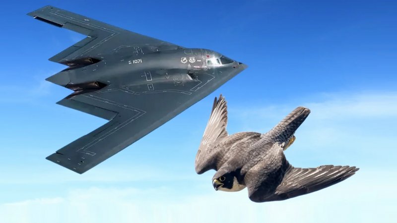 B-۲ دوباره به پرواز درآمد+ تصویر