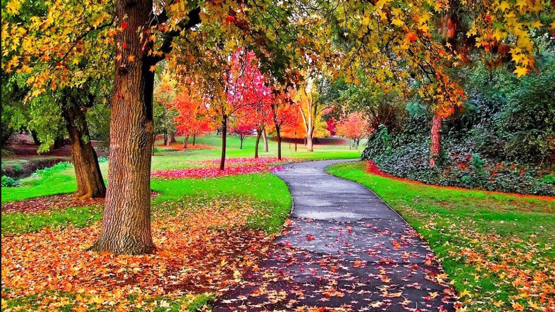 این استانها تا ۵ روز هر روز بارش دارند+ فیلم