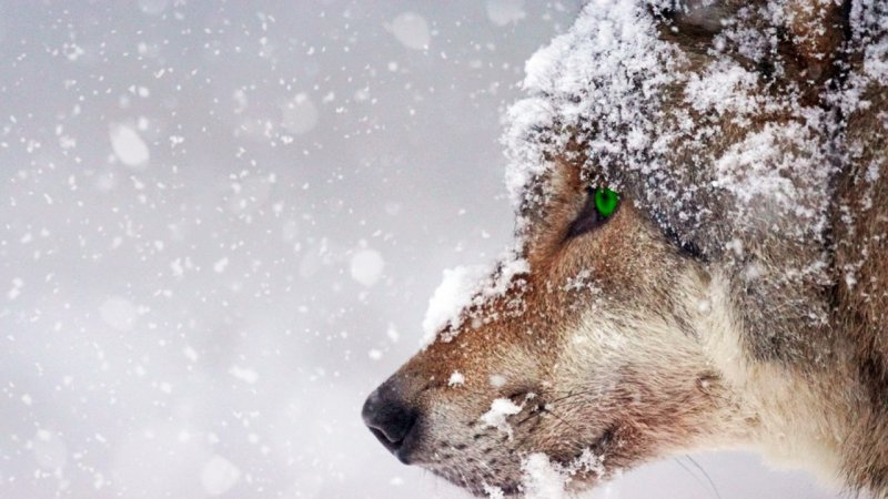 سامانه بارشی قطبی در آستانه ورود به ایران/ منتظر بارش‌های سنگین برف باشید