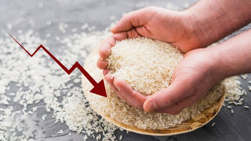 فوری/ سقوط قیمت برنج هندی آغاز شد
