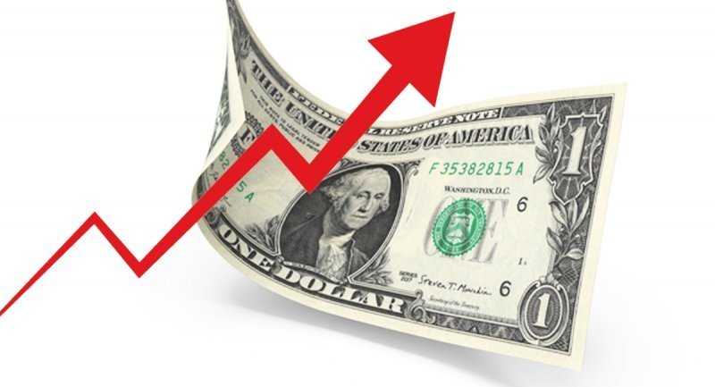 چرا دلار افسار گسیخت؟