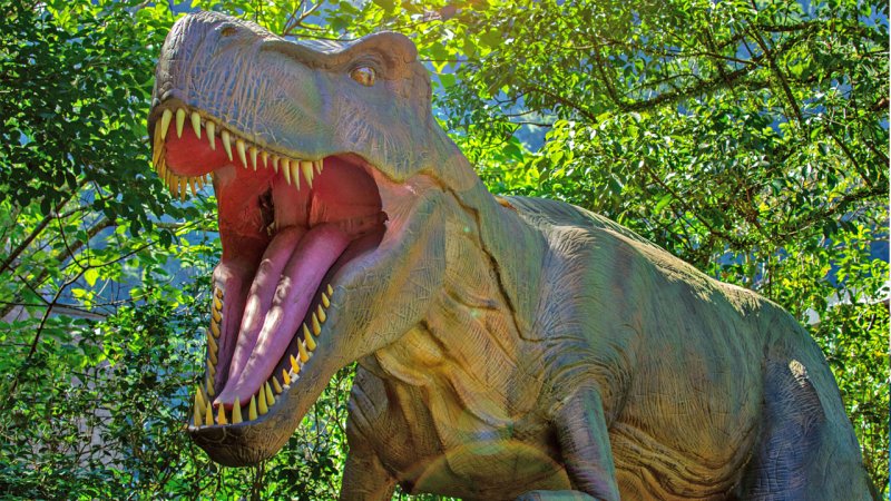 تخم دایناسور ۷۰ میلیون ساله پر از بلور بود! + عکس