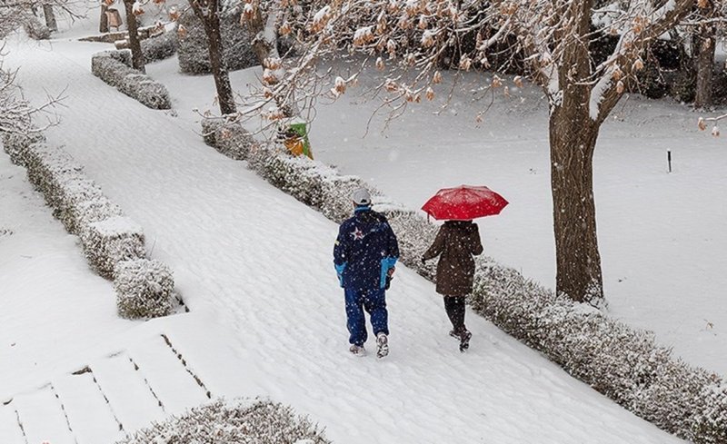 پیش بینی وضعیت هوا؛هشدار نارنجی برای این استان ها