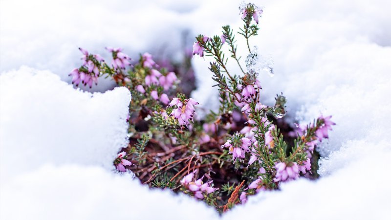 جزئیات فعالیت سامانه بارشی تا روز جمعه/ کاهش ۵ درجه ای دما در این مناطق