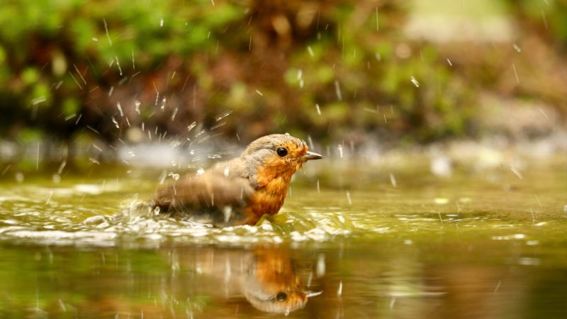 شما ابرها را بارور کردید؟ شوخی می‌‌کنید؟ این یک بارش طبیعی و هدیه‌ای از مدیترانه است