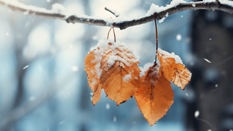 ورود سامانه قوی بارشی از روز چهارشنبه /این استان ها منتظر باران شدید باشند