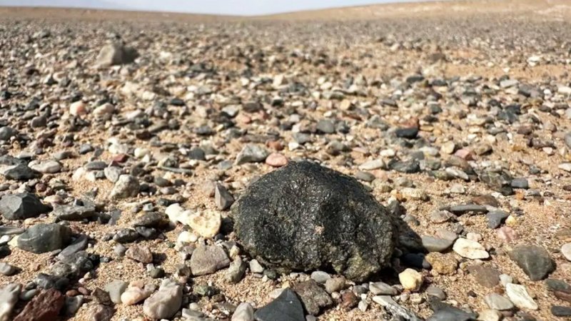 گنج قیمتی ۴ میلیارد ساله در باغچه کشف شد