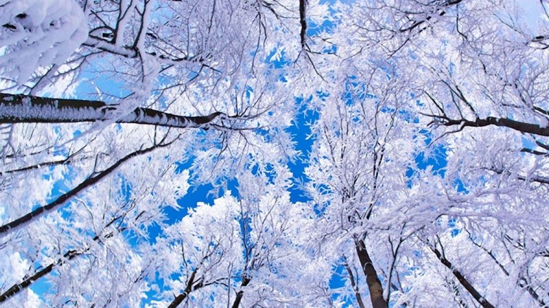 اعلام زمان ورود سامانه بارشی جدید به کشور /بارش برف و باران در ۱۹ استان