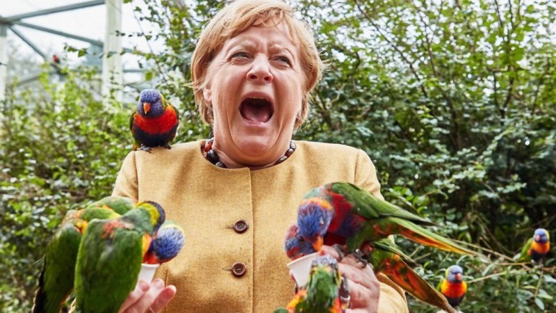 شغل جدید آنگلا مرکل در ۷۱ سالگی چه خواهد بود؟