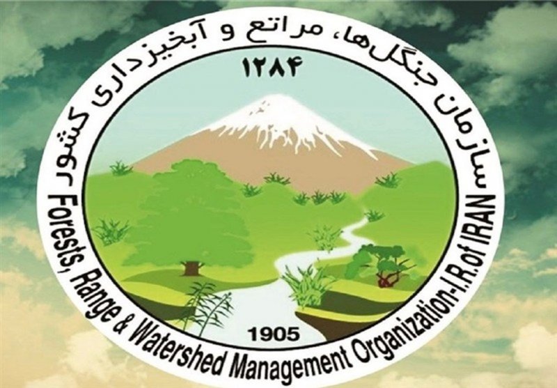 فوری؛ شهادت فرمانده یگان حفاظت منابع طبیعی کشور