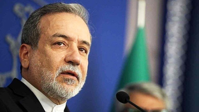 تصویری متفاوت از عراقچی در هواپیمای هیات همراه مذاکرات
