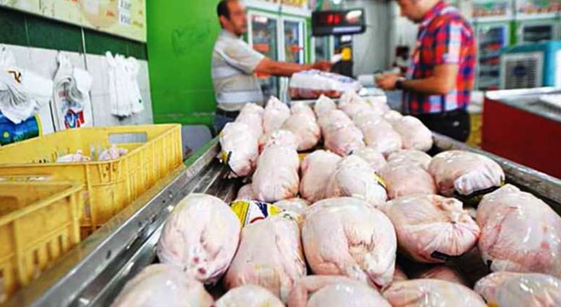 توزیع مرغ منجمد دولتی بدون محدودیت
