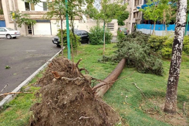 طوفان در مشهد، برق برخی از مناطق را قطع کرد