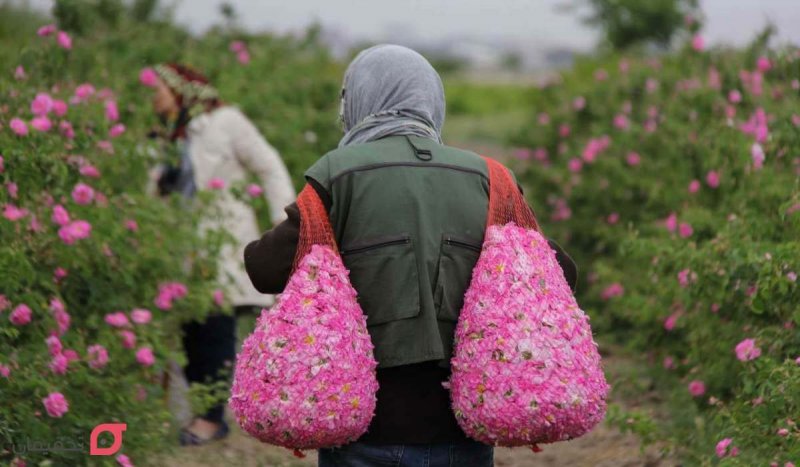 با رقیب جدی قمصر کاشان در 9 کیلومتری مشهد آشنا شوید