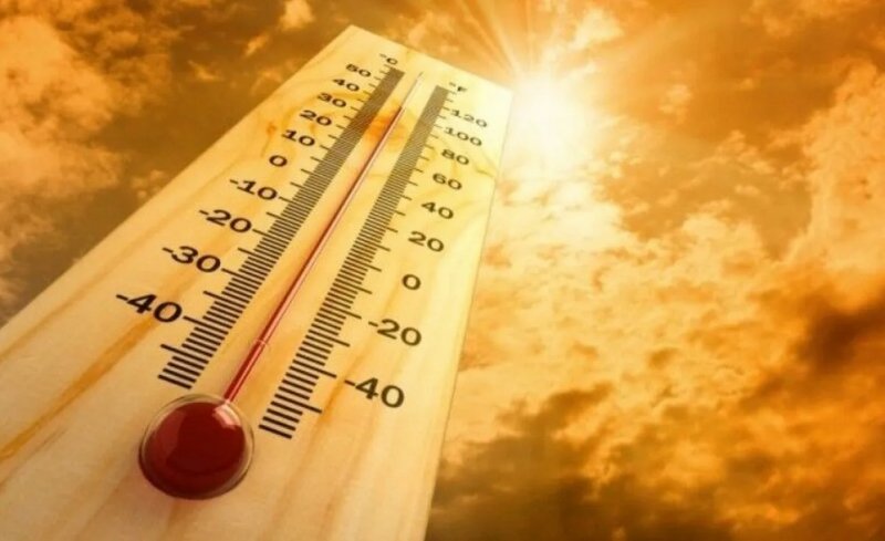 گرمای 51 درجه ای در این شهرستان و سوختن برگ درختان