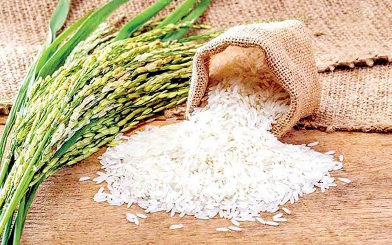 واردات انبوه برنج دوباره آغاز شد