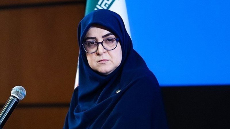مهاجرانی: گفتند در دولت چادر سرت کن؛ گفتم تو دهن پست و مقام می زنم ولی ... 