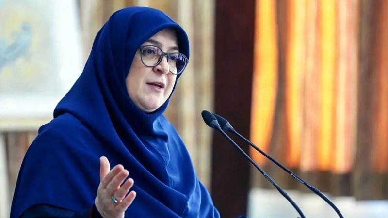 معین در مسیر بازگشت به ایران؟/ پاسخ سخنگوی دولت خبرساز شد
