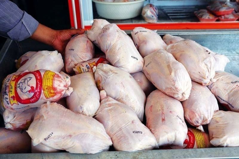 سیگنال دولتی به بازار مرغ/قیمت جدید مرغ