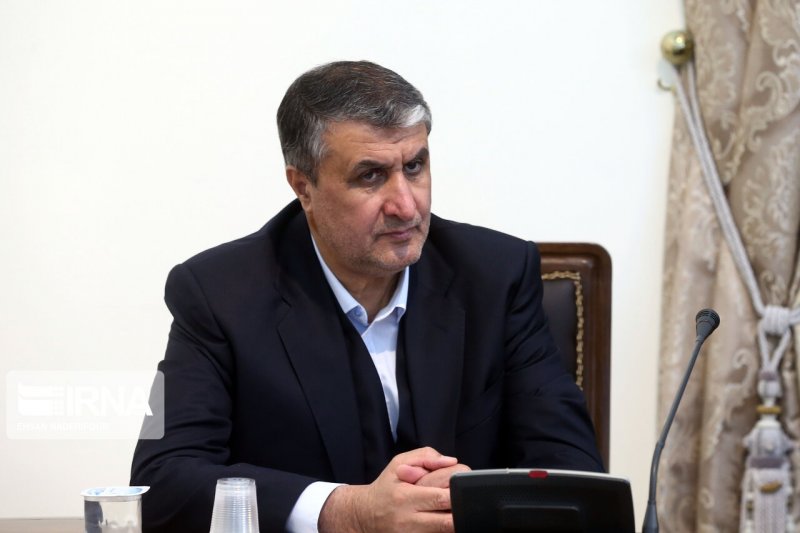اتریش مانع حضور رئیس سازمان انرژی اتمی ایران در نشست آژانس شد