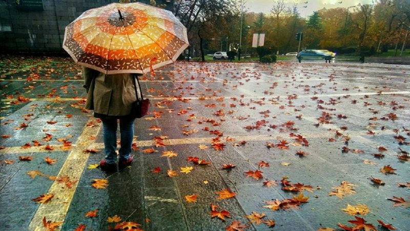 موج بارش‌های پاییزی از  این تاریخ وارد کشور می‌شود
