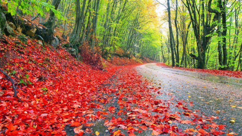 ورود موج جدید بارشی به کشور/ بارش‌های قابل‌توجه و کاهش ۱۰ درجه‌ای دما در راه این استان ها
