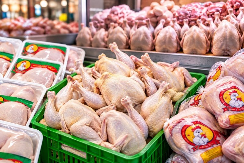 پرواز قیمت مرغ / چرا مرغ گران شد؟ 