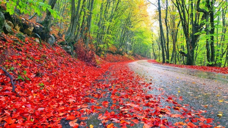 هشدار هواشناسی برای ۲۱ استان؛ بارش باران و رعدوبرق در راه است